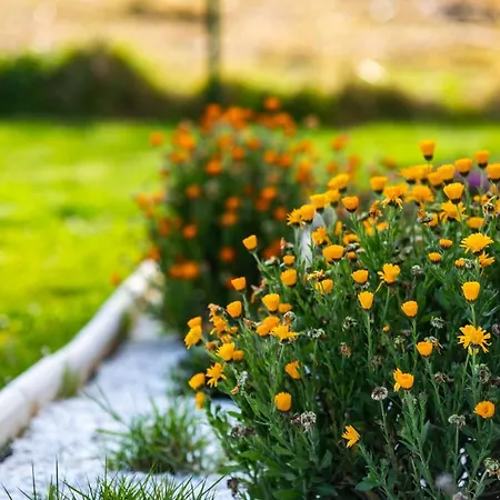 Espiritu Xacobeo * O Pedrouzo